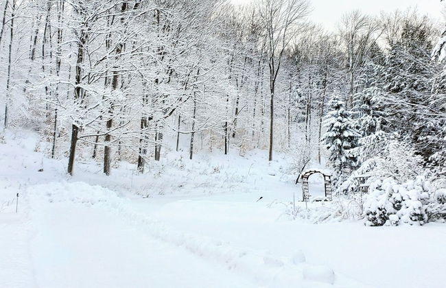 Winter Lore Brought to you by GetAway Vacations - Foto 21