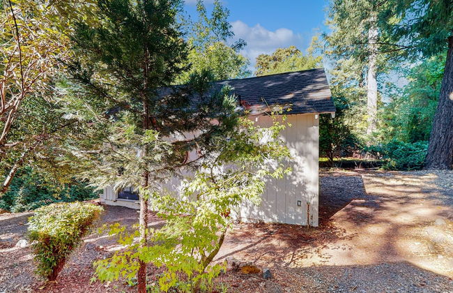 Rouge Cobb Mountain Cabins - Foto 50