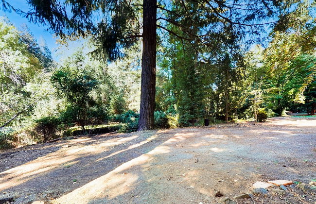 Rouge Cobb Mountain Cabins - Foto 36