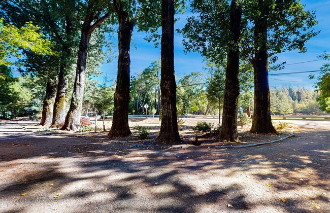 Rouge Cobb Mountain Cabins - Foto 44