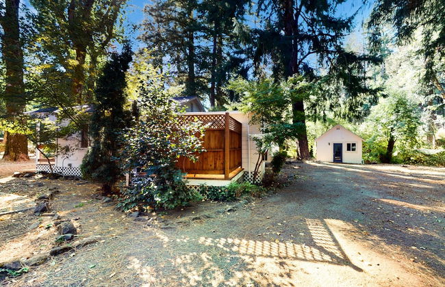 Rouge Cobb Mountain Cabins - Foto 49