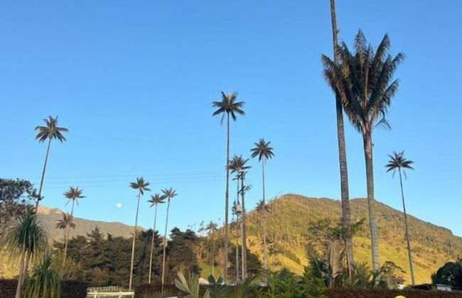Bosques de Cocora Donde Juan B - Foto 13