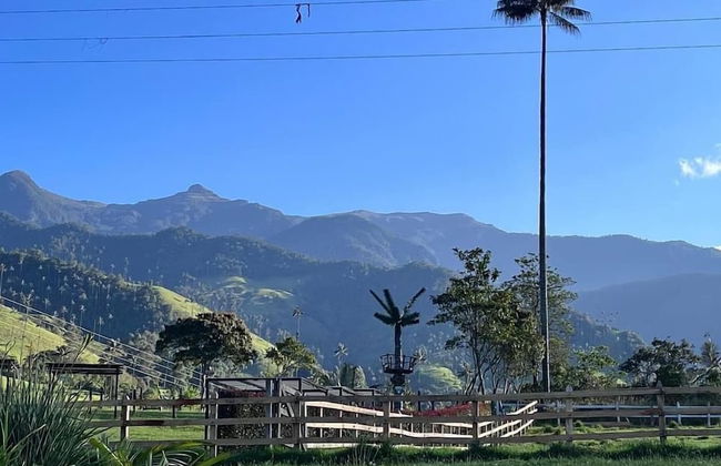 Bosques de Cocora Donde Juan B - Foto 17