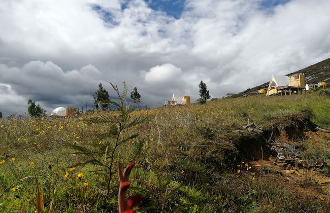 Andes Glamping - Foto 30