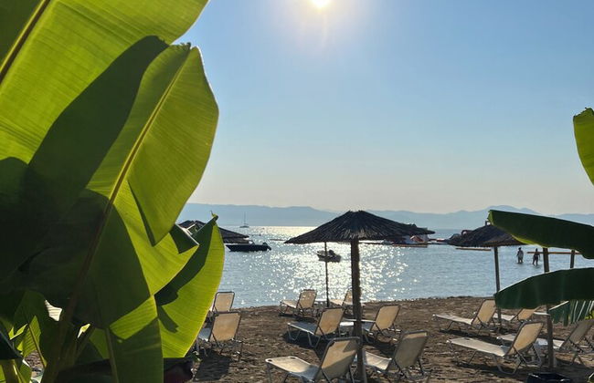 Erosea Beach Resort - Foto 19