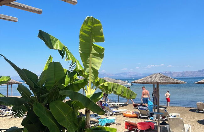 Erosea Beach Resort - Foto 18