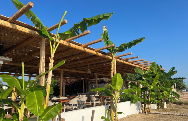 Erosea Beach Resort - Foto 21