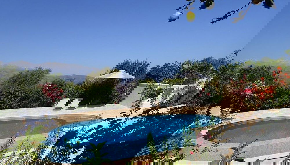 Primary image