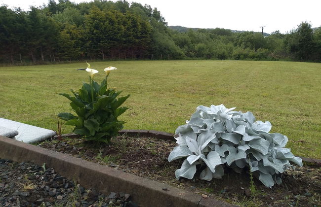Atlantic View Cottage in Killybegs - Photo 22