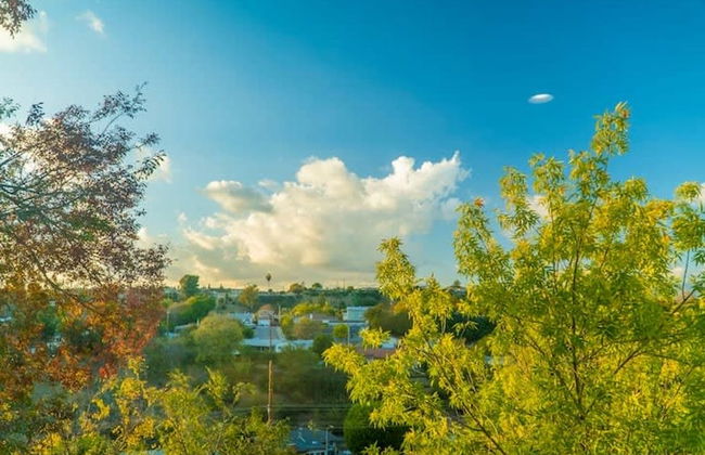 Stunning LA Luxury Retreat Ideal for Work or Play - Foto 1