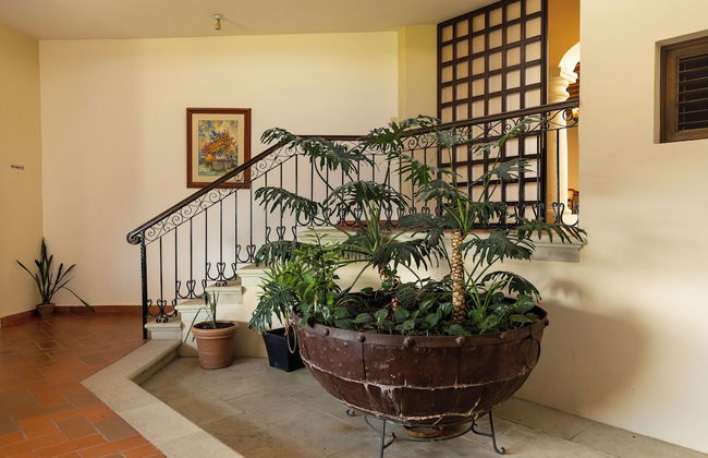 Casa Jacarandas - Foto 57