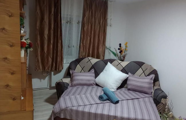 Apartament Iosif House RGR 1 - Foto 1