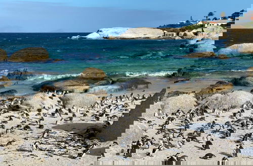 Foto 57 - Seascape, Simon's Town