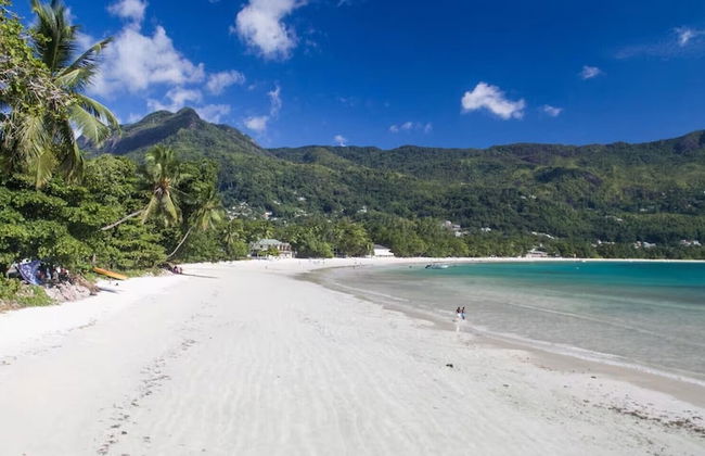 Beau Bamboo - Foto 18