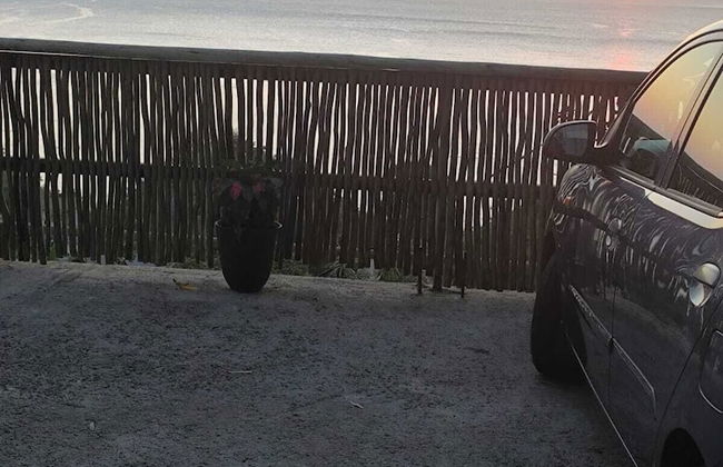 Sunset View Self Catering - Foto 16