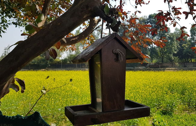 Koko's Farm - Foto 21
