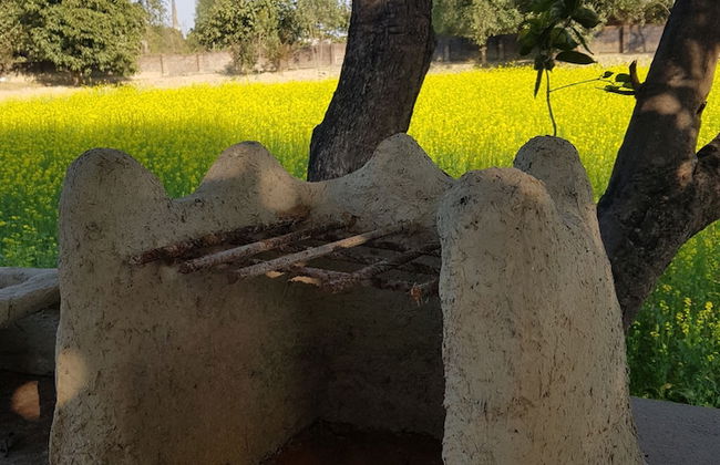 Koko's Farm - Foto 26