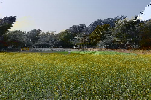 Foto 36 - Koko's Farm