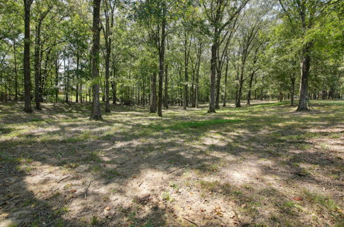 Photo 6 - Natures Care: Home w/ Pond, 16 Mi to Memphis