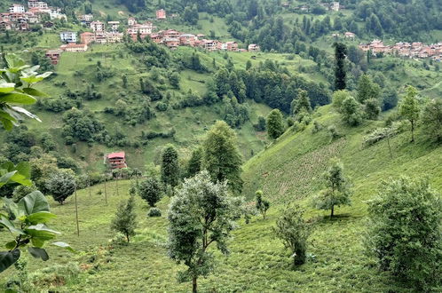 Foto 20 - MEZRA DOĞAL DAĞ EVLERİ