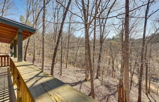 Photo 2 - Cute Eureka Springs Vacation Rental With Fire Pit