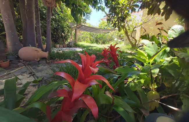 Finca Paraiso Casa Rural Tenerife - Foto 20