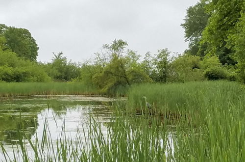 Photo 27 - Cabin on Private Island < 6 Mi to Sand Valley Golf