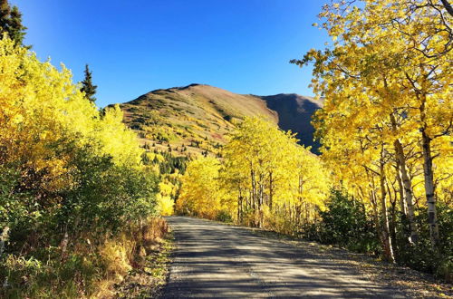 Foto 6 - Family Cabin: Explore Alaska's Favorite Playground