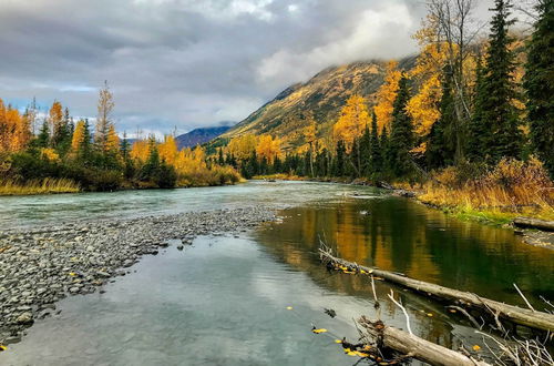 Foto 4 - Family Cabin: Explore Alaska's Favorite Playground