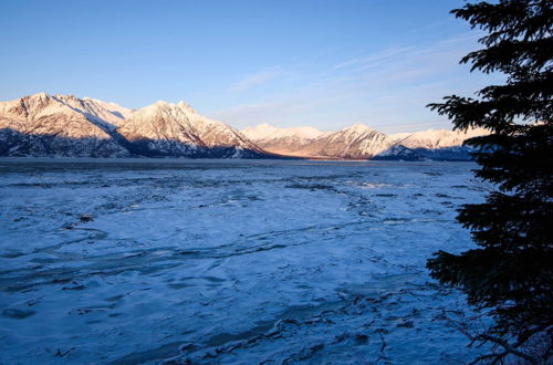 Foto 16 - Family Cabin: Explore Alaska's Favorite Playground