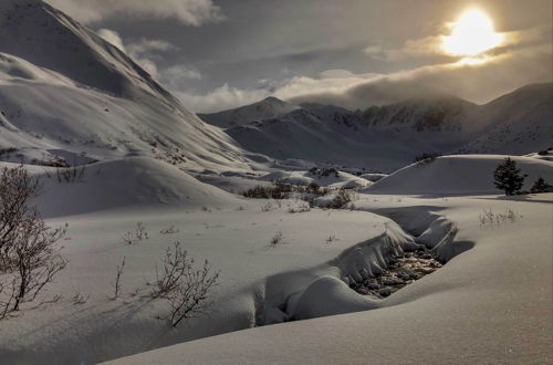 Photo 34 - Family Cabin: Explore Alaska's Favorite Playground