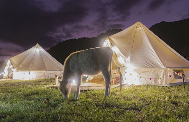 Andean Glamping - Foto 1