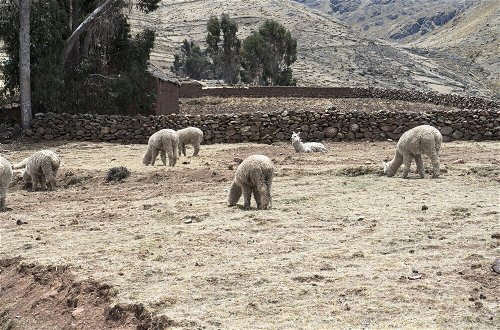 Foto 57 - Andean Glamping