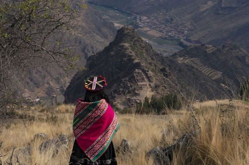 Photo 34 - Andean Glamping