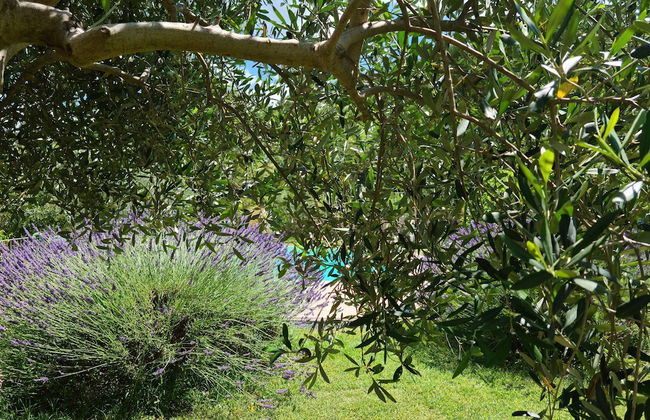 Sale! Beautiful 2-bed Apartment With Pool Access - Foto 33