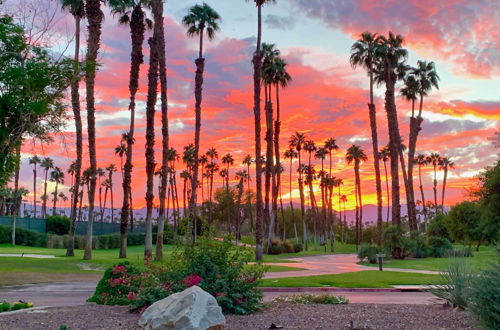 Photo 6 - Palm Desert Condo - 6 Miles to El Paseo