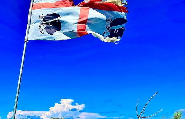 Casa I Corbezzoli - Paduledda - Isola Rossa - Photo 21