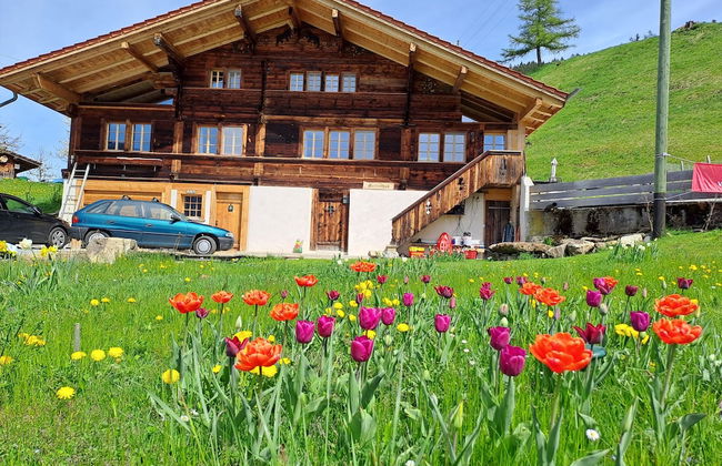 Chalet Grittelihus Near Interlaken, in a Natural Paradise - Foto 34