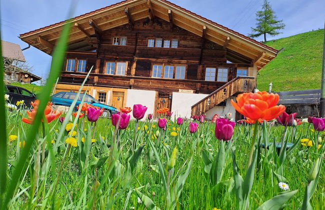 Chalet Grittelihus Near Interlaken, in a Natural Paradise - Foto 32