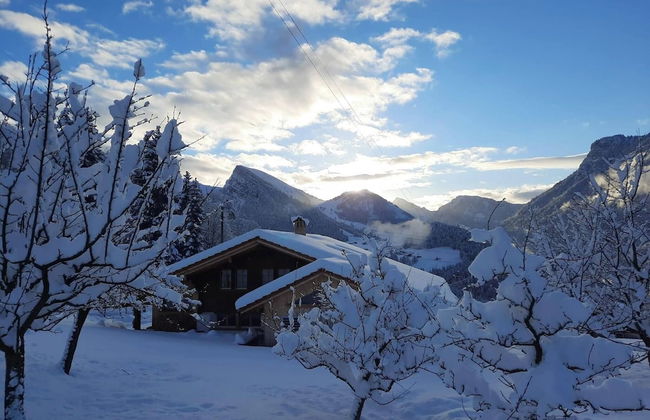 Chalet Grittelihus Near Interlaken, in a Natural Paradise - Foto 27