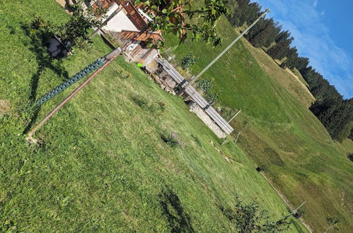 Photo 28 - Chalet Grittelihus, Large Bathroom, Lots of Living Space, Nähe Interlaken