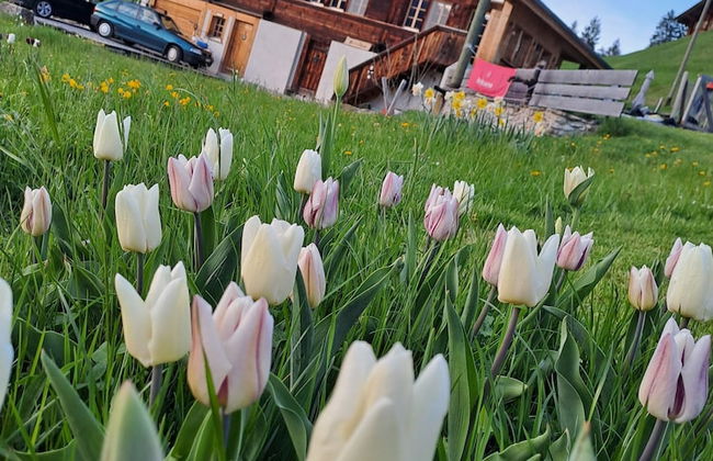 Chalet Grittelihus Near Interlaken, in a Natural Paradise - Foto 33