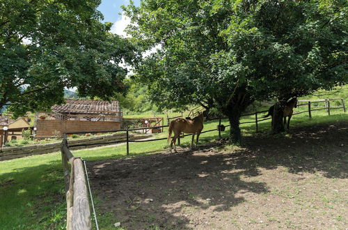 Photo 37 - Locanda Di Alberi