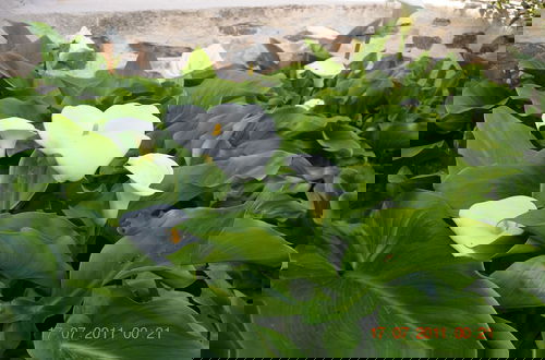 Foto 45 - Thor & Freyja's of Poseidonia Syros Holiday House