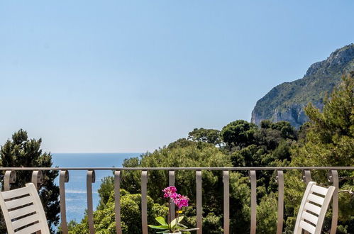 Photo 5 - Oliveto Capri