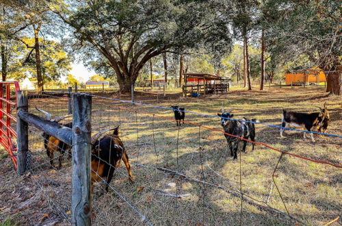 Photo 18 - Ocala Vacation Rental on 14-acre Working Farm