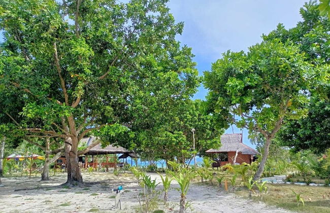 La Tranquilidad Beach Resort - Photo 70