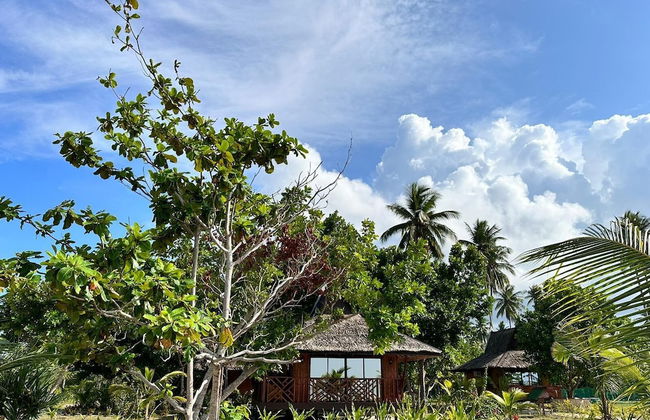 La Tranquilidad Beach Resort - Photo 68
