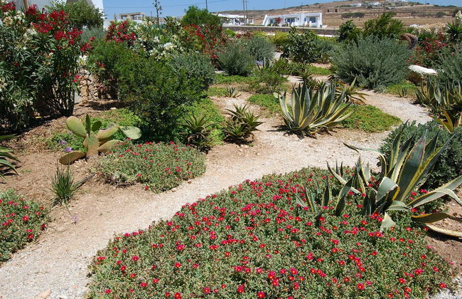 Aeolos Hotel - Foto 71