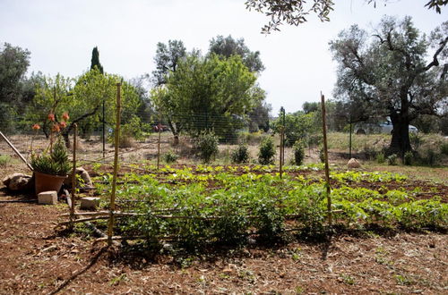 Foto 38 - Trullo Nonna Netta con Piscina Idromassaggio e Area Giochi